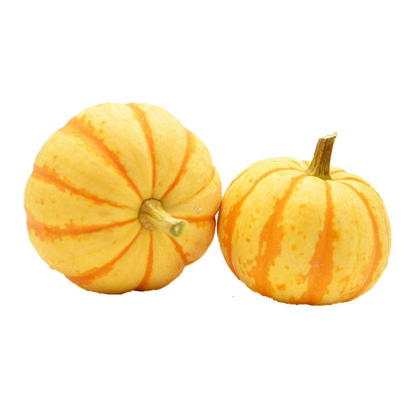 迷你黄贝贝南瓜种子小南瓜春秋四季绿贝贝蔬菜种孑籽盆栽家庭菜园