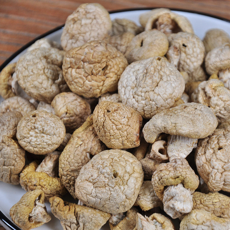 正宗新货石渠白菌100克包邮四川甘孜特产野生香菇类