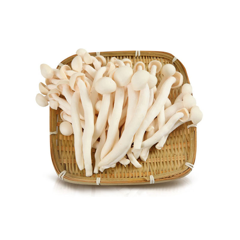 【顺丰5件包邮】白玉菇150g/包新鲜菌菇新鲜蘑菇