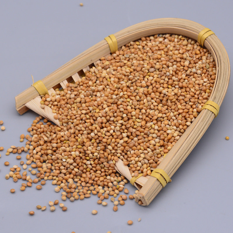 饲料糜子黍子带壳大黄旋风牡丹中小型鹦鹉鸽子鸟食