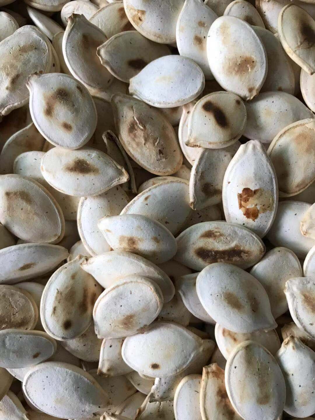 新货2020笨炒东北特产熟宝清大白板白瓜子南瓜其它干货