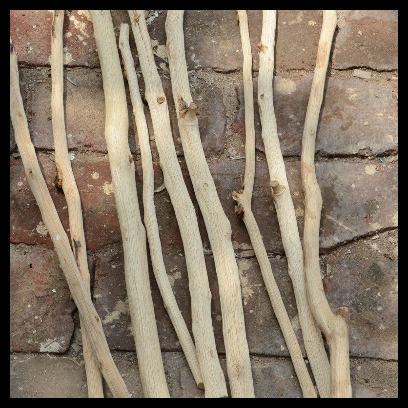 实木树枝去皮枯树树干挂衣装修摆件橱窗装饰干花