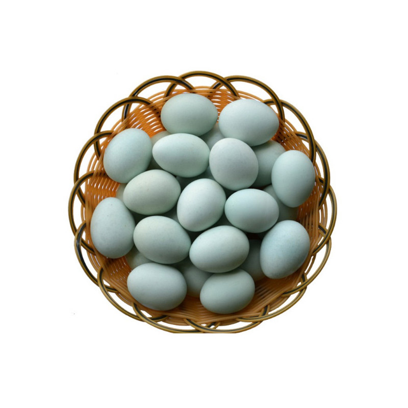 鸭蛋单枚白皮营养放养鲜绿新鲜绿生态散养农家鸭蛋