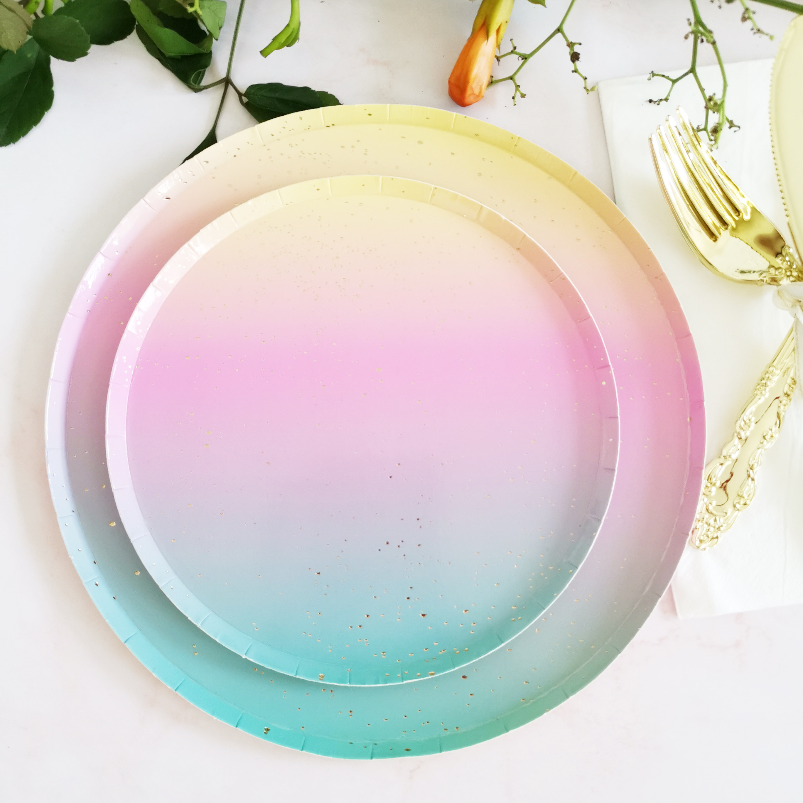 盘子新款彩虹披萨一次性派对餐具纸盘纸杯塑料可降解餐具