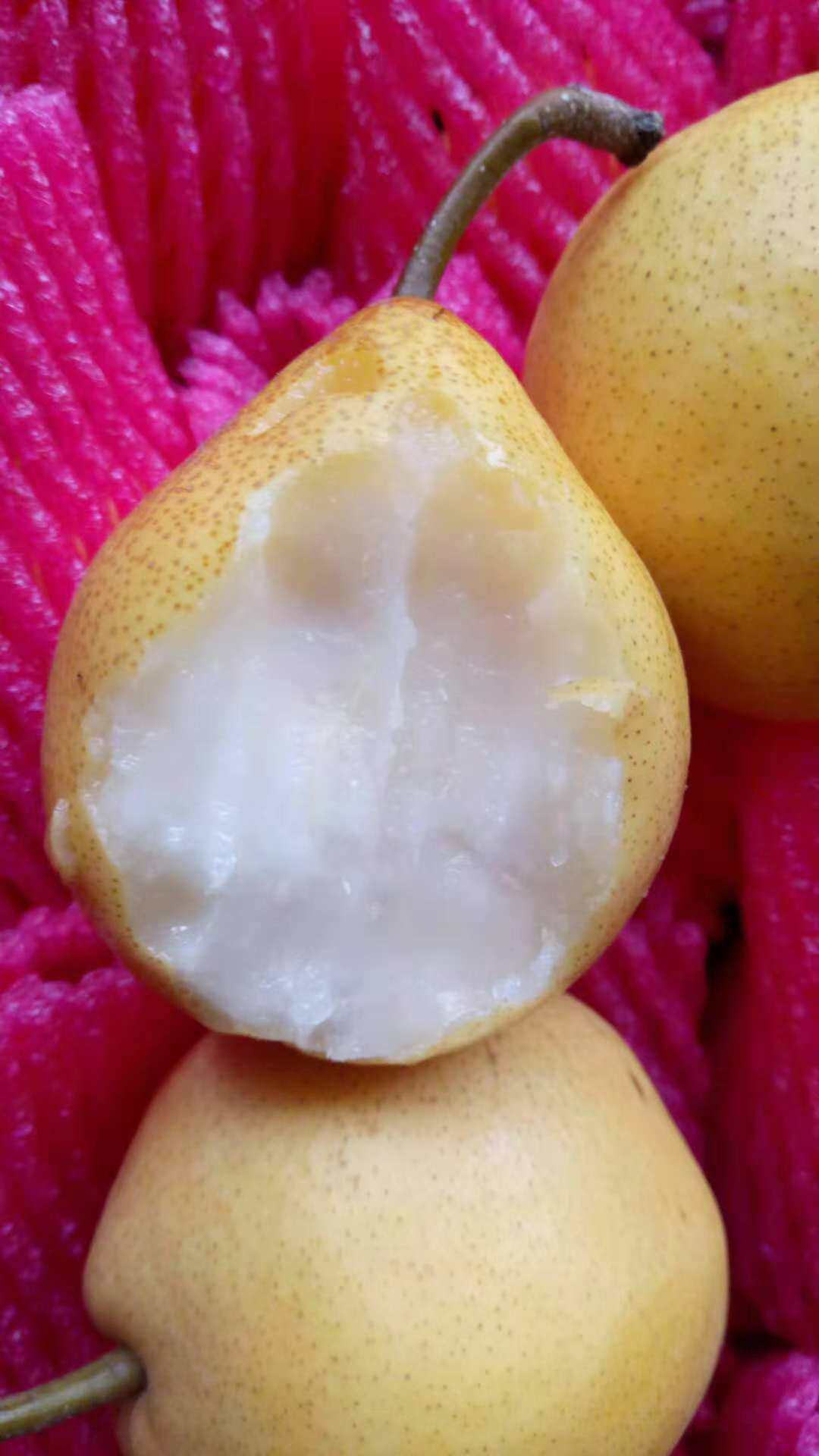 酸梨东北正宗辽宁鞍山特产新鲜秋子梨冻梨软梨