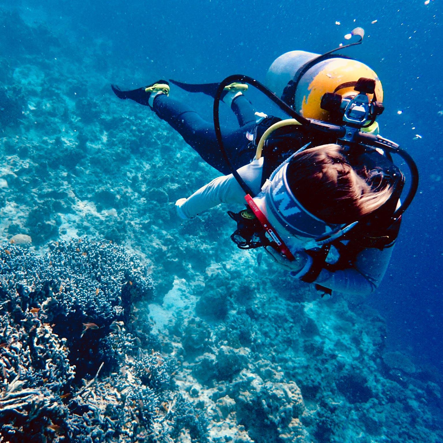 菲律宾薄荷岛王者 padi潜水员ow/aow潜水考证深潜 中文培训含住宿