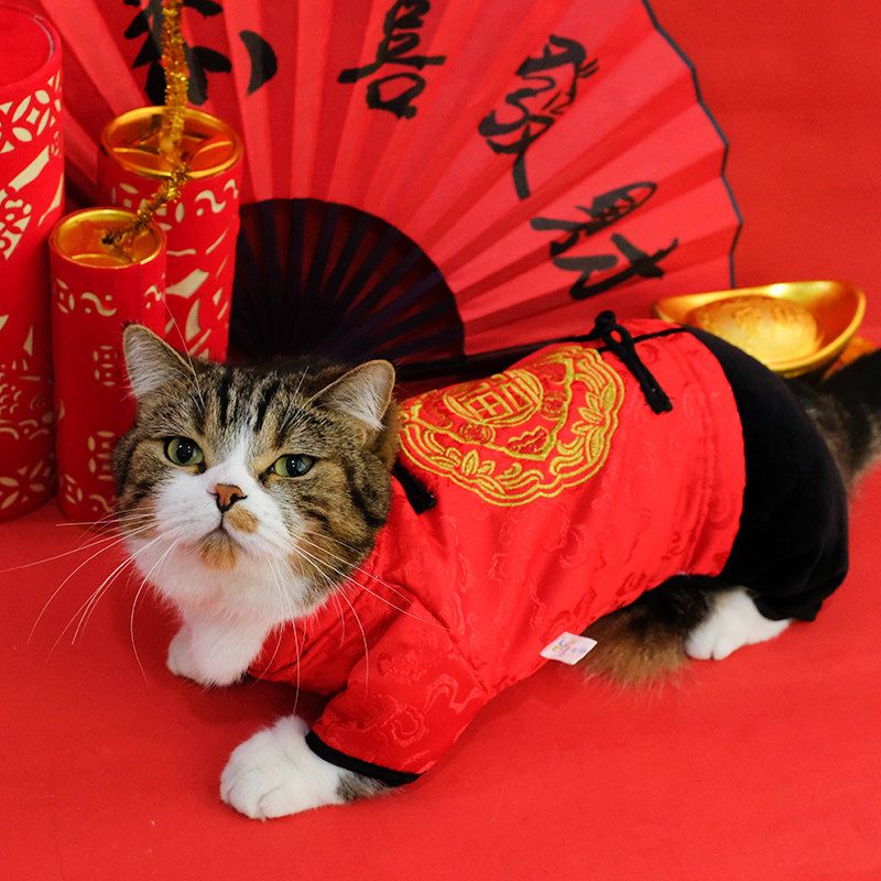 猫咪衣服过年唐装中国国风防掉毛秋装喜庆红色狗宠物服装