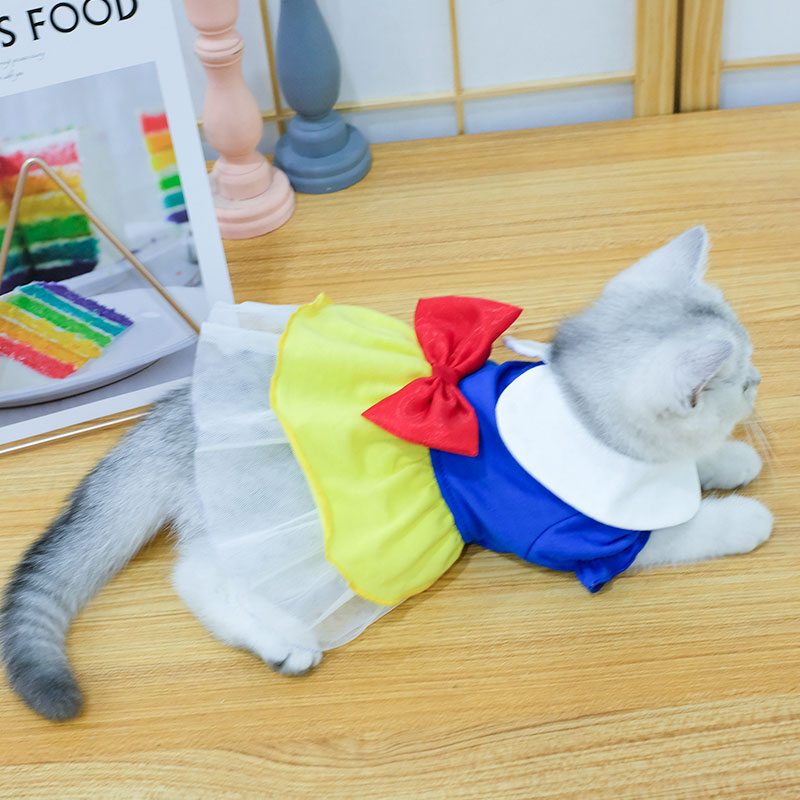 猫咪衣服可爱公主裙小猫猫幼猫宠物防掉毛无毛狗宠物服装