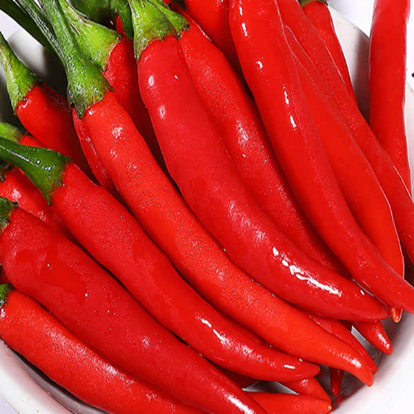 美人红辣椒125公斤云南阳光泡菜腌制辣椒即食配菜其它