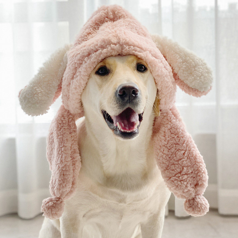 头套狗狗保暖帽子拉布布拉布拉多多可爱大型装饰帽子