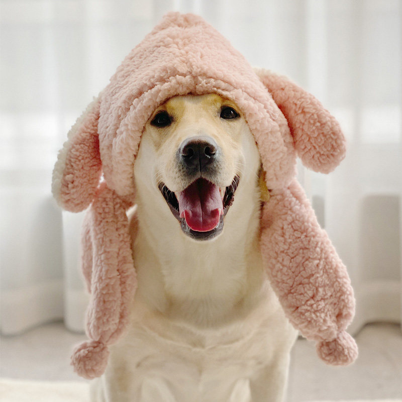 头套狗狗保暖帽子拉布布拉布拉多多可爱大型装饰帽子