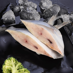 银鲳鱼生鲜海鲜水产鲜活白鲳鱼深海新鲜海鱼野生海捕大平鱼