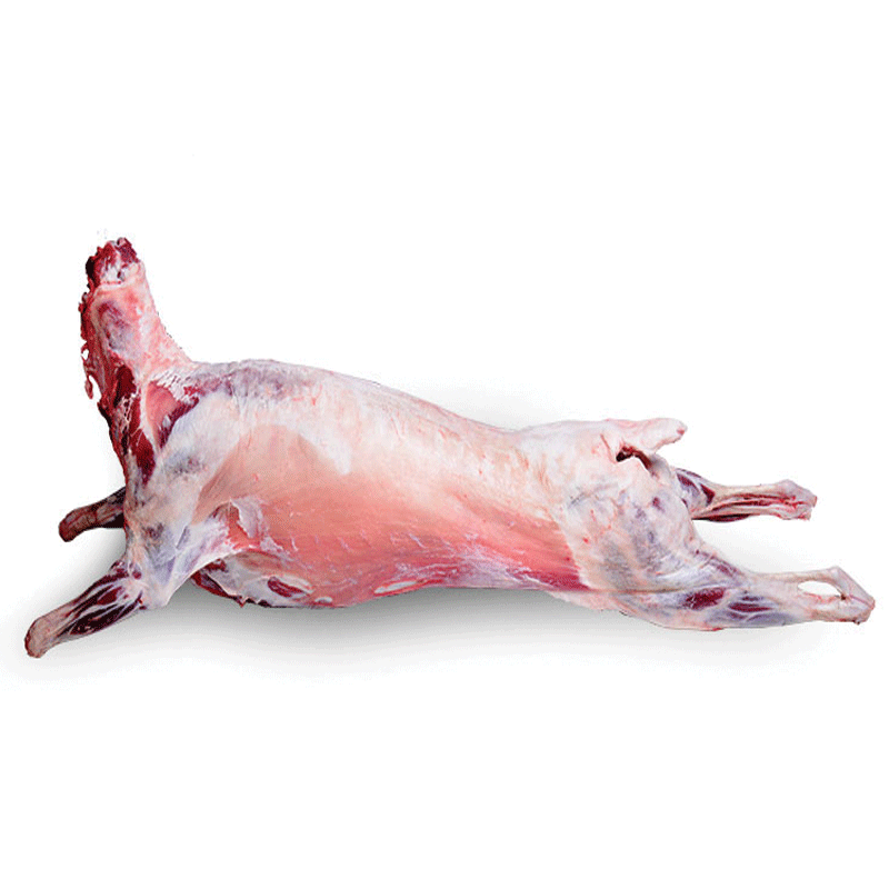 在 地:宁夏 固原累计销量:0件全羊整羊腿散养烧烤食材羊羔肉羊肉 宁夏