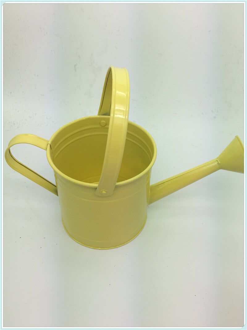 水桶洒水园艺2l水壶铁皮浇花浇菜花洒儿童水桶