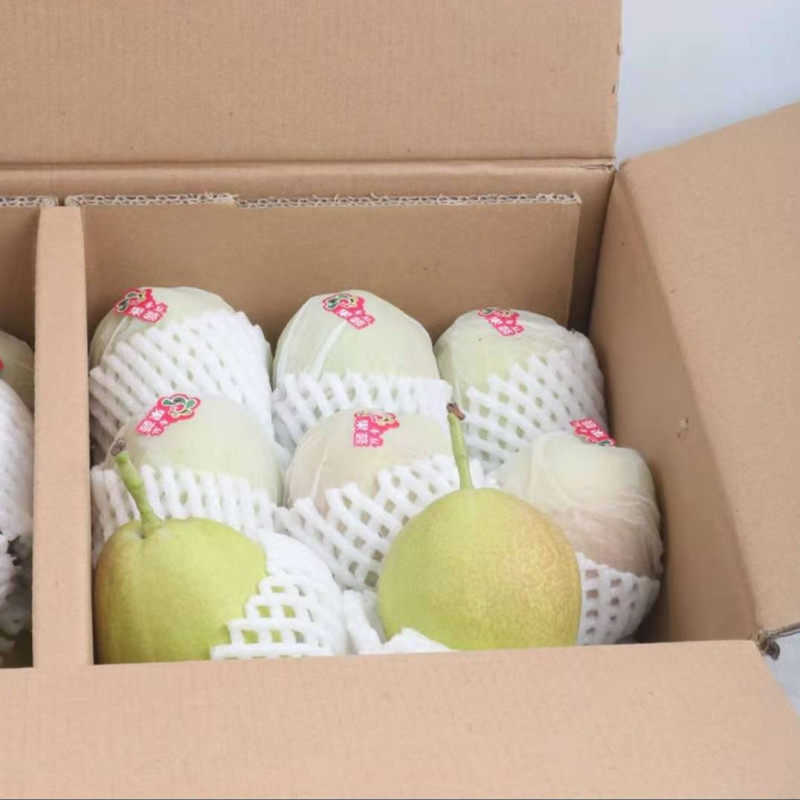 新鲜水果新疆库尔勒香梨礼盒盒装12斤特级大果梨