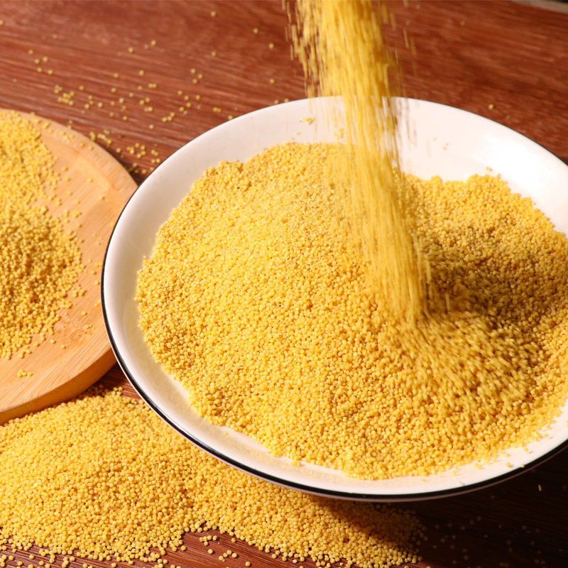 山西河曲特产宇康有机小米礼盒盒装2kg小米