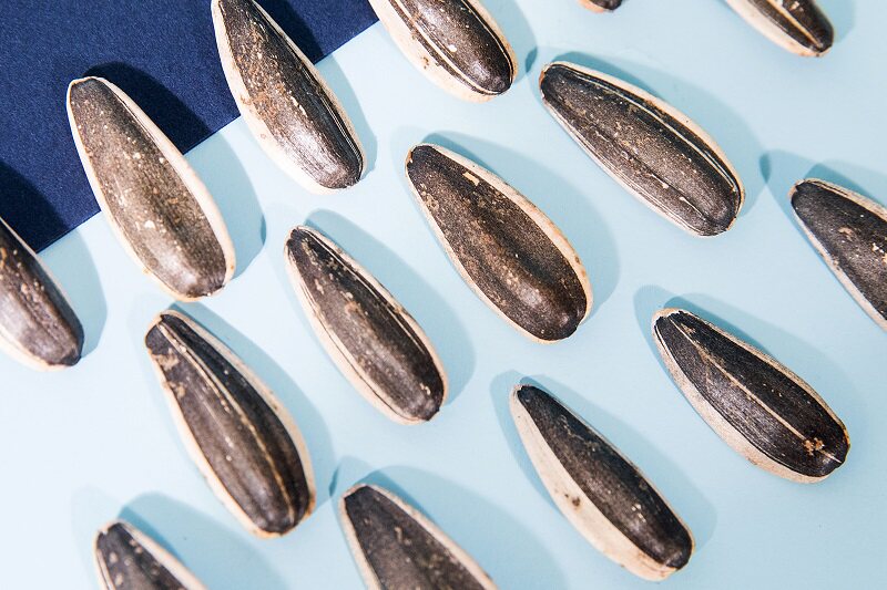 鹦鹉世家手剥原味瓜子葵花籽袋装大颗粒坚果炒货休闲内蒙零食 - 鹦鹉