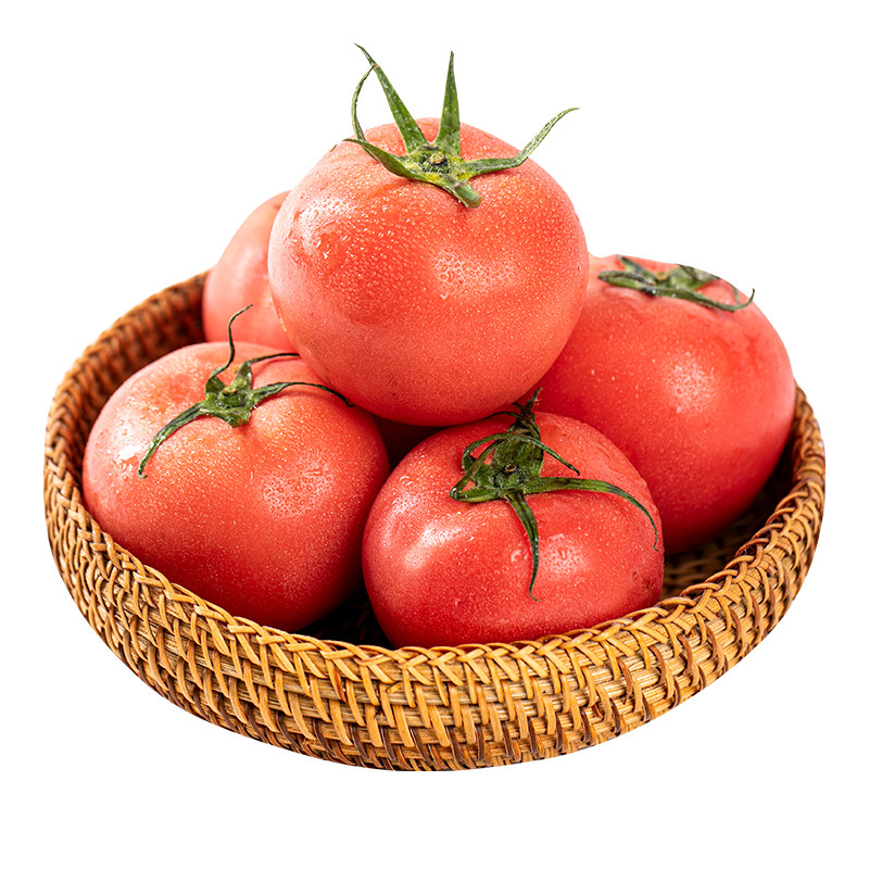 顺丰攀枝花沙瓤番茄普罗旺斯小番茄西红柿农家新鲜番茄