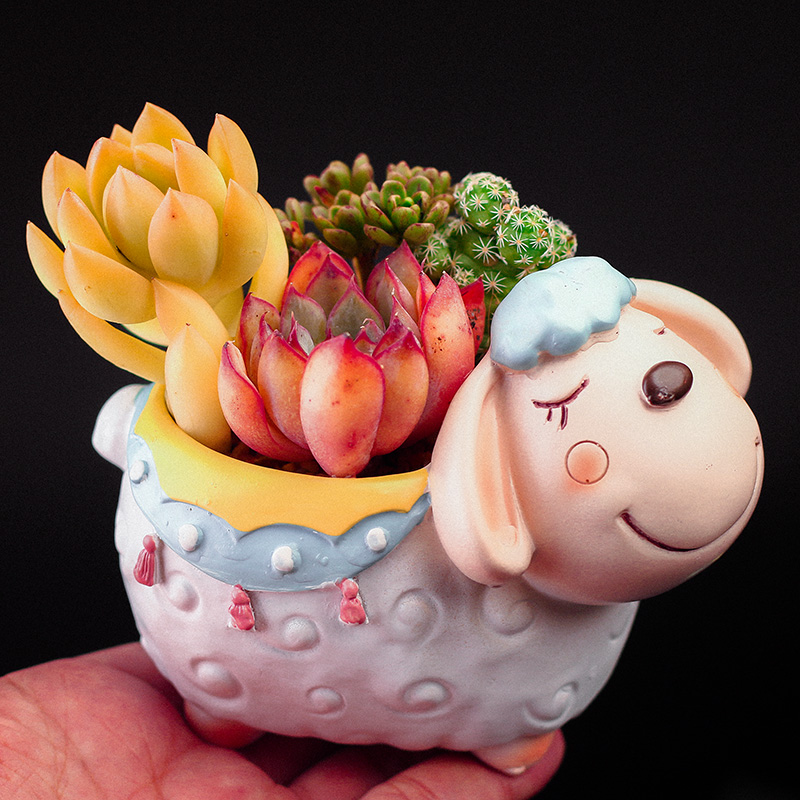 12cm可爱小羊羔多肉花盆创意田园树脂个性桌面小动花盆