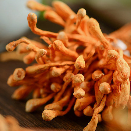 古田菌菌有味农家特产:特级金虫草花农家正品虫草花孢子头干货滋补蛹