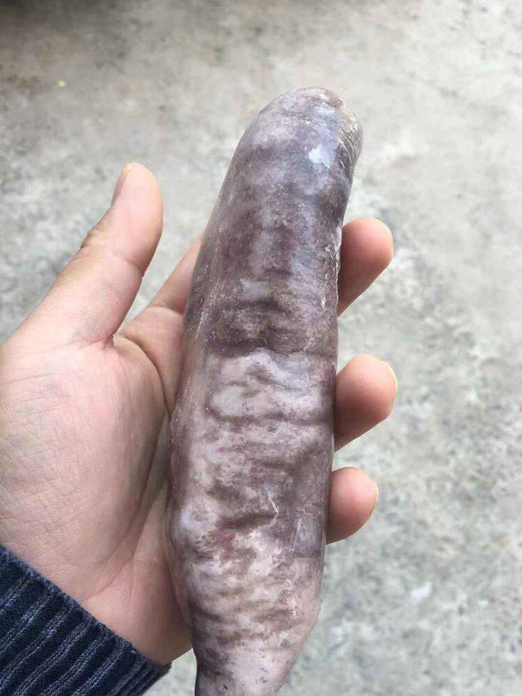茄参新鲜美味海参丝大乌参茄子去脏茄参包海参