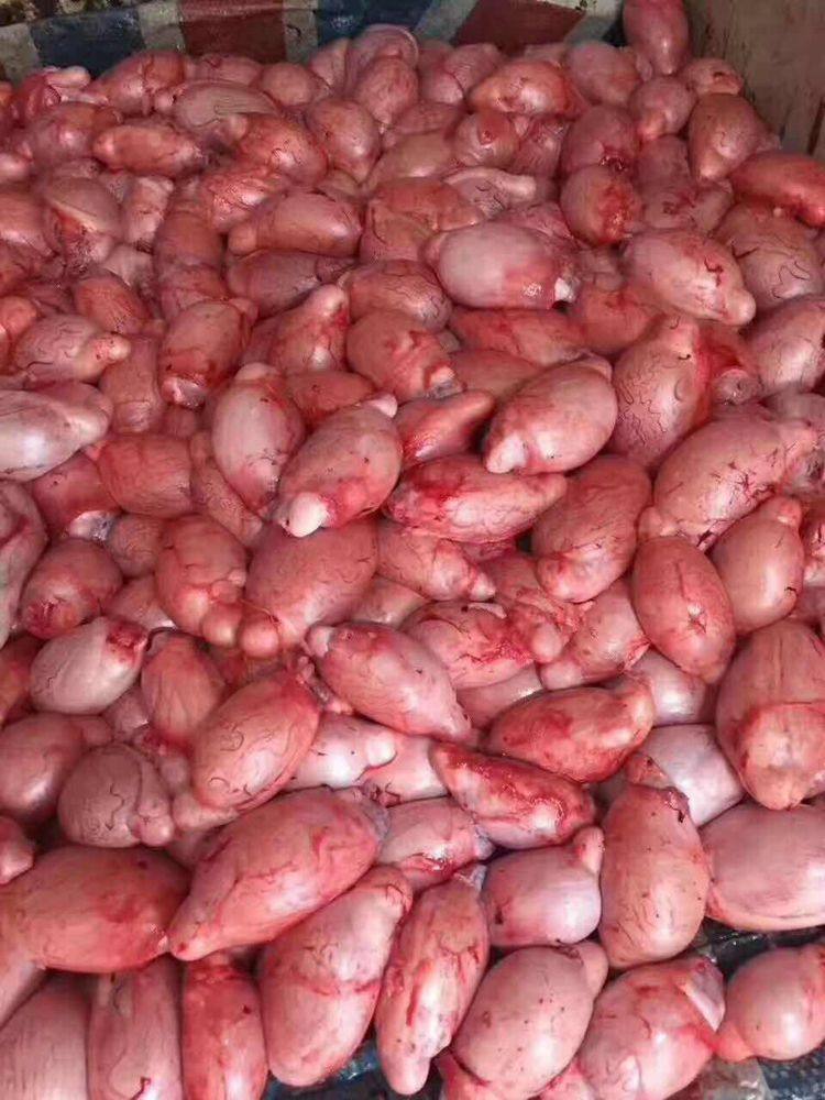 新鲜羊肉羊宝羊蛋500g睾丸速冻生食包邮其它