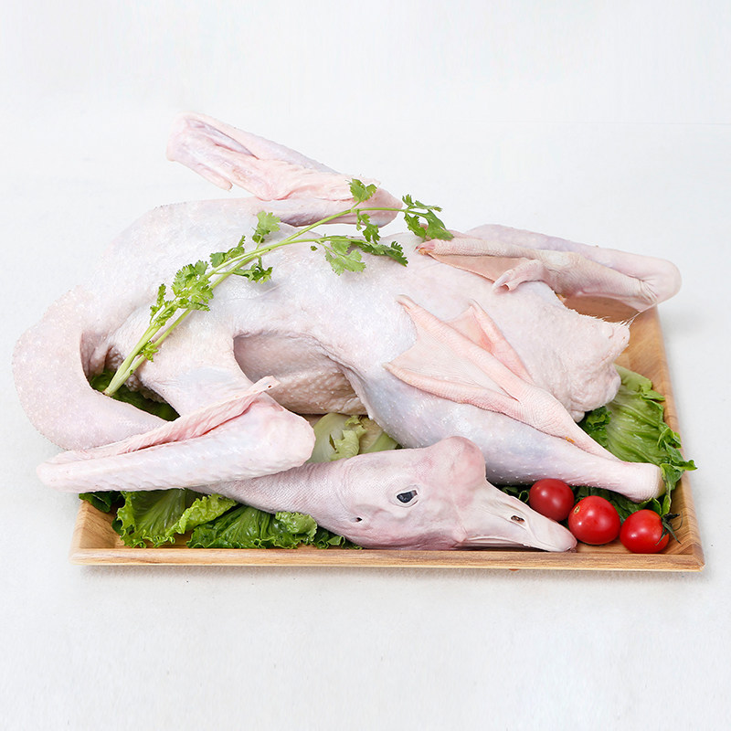 新鲜屋下老鹅6斤现杀大白白鹅土鹅特产散养鹅肉