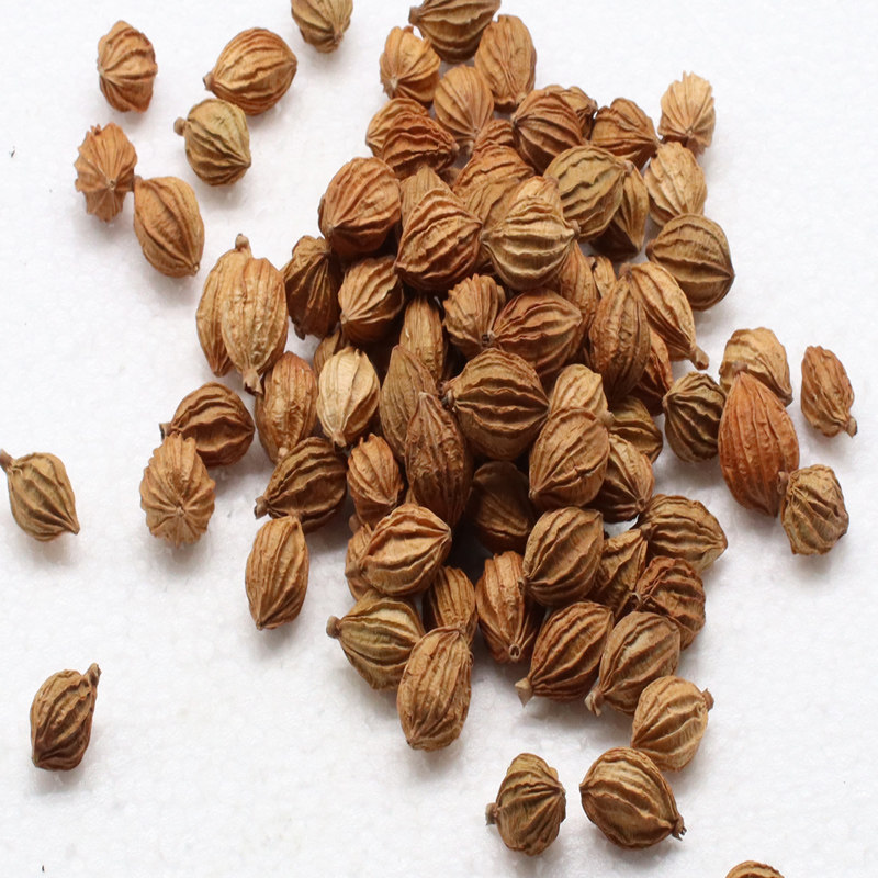 砂仁500g香砂沙仁金砂仁优质四川特产炖肉卤菜其他药食同源食品