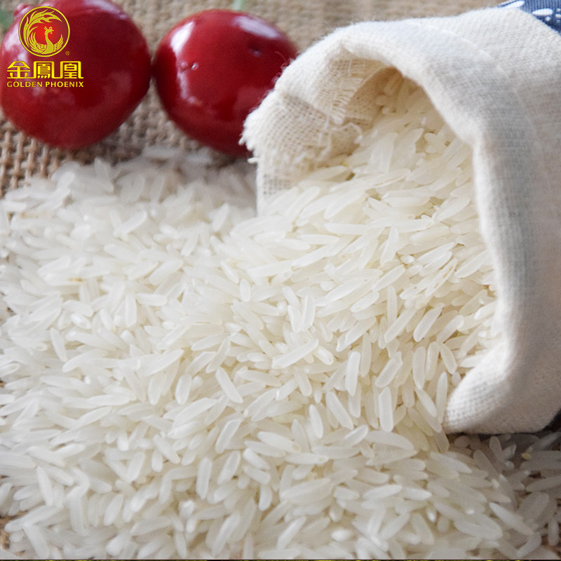 金凤凰 新鲜大米象牙粘米 香米5kg 大米 新米 籼米 油粘米10斤