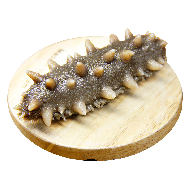 海参宽即超低低压鲜食500g威海有机即食干货海参