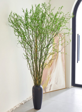 龙柳鲜枝水培植物干枝水养绿植切花