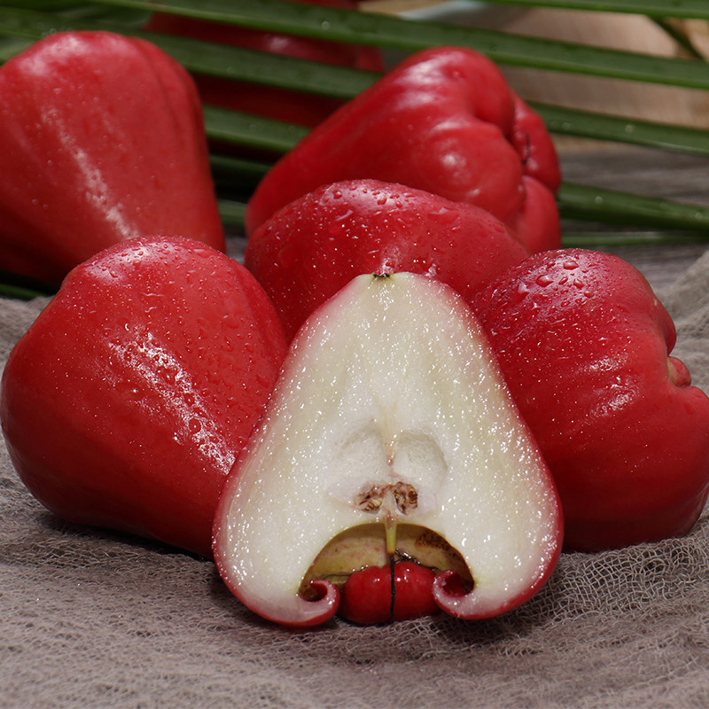 当季海南莲雾4斤整箱热带新鲜孕妇水果雾莲莲雾