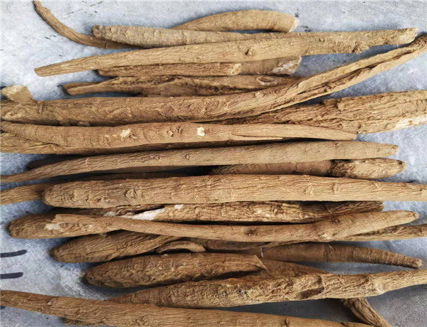 鸡脚参土高丽参 500克 包邮 雪人参 红毛阳参 刺参 雪参中药材 条参