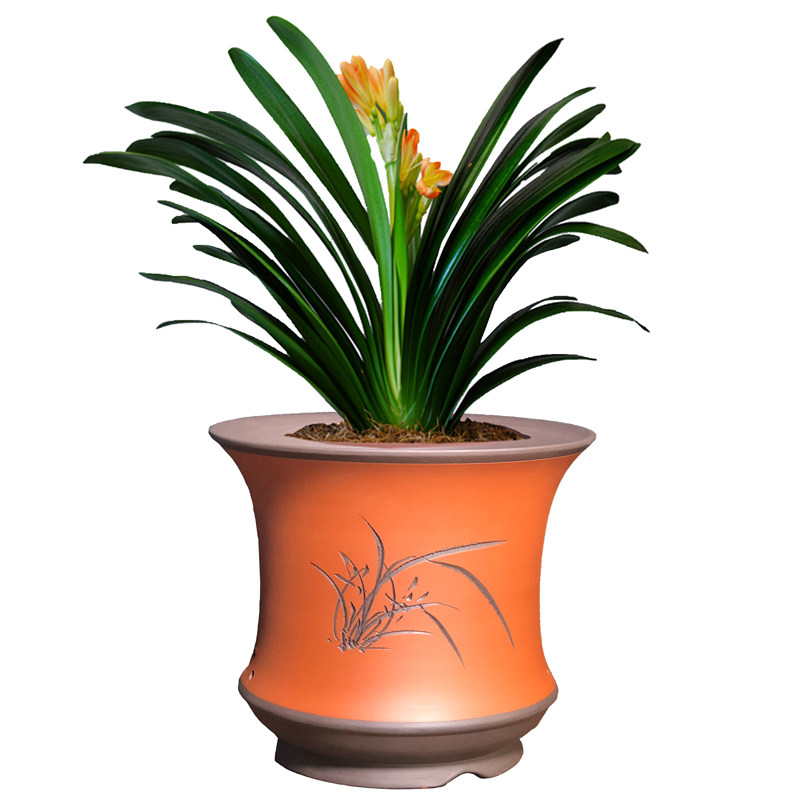 花盆宜兴紫砂君子兰专用吊兰绿萝室内古典透气陶瓷花盆