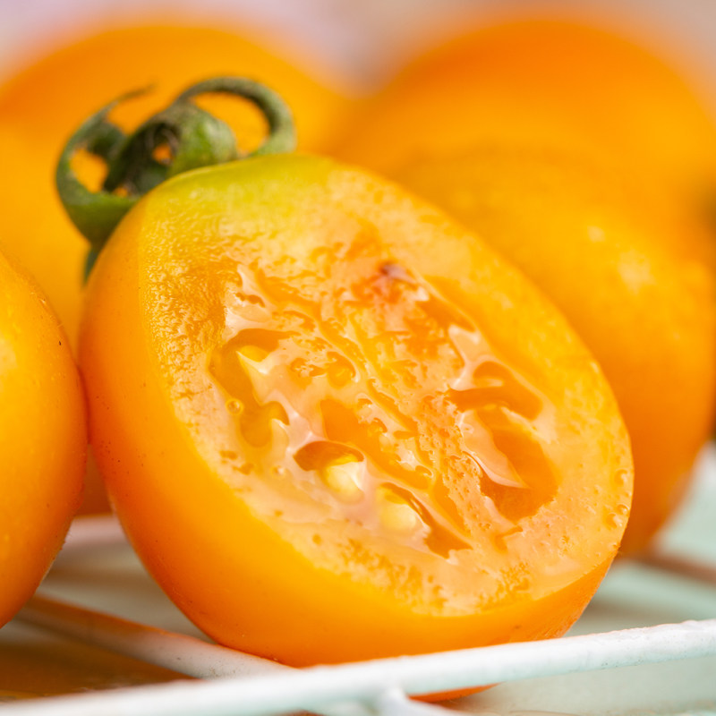 小番茄柿子黄色黄姑娘姑娘彩色草莓珍珠番茄