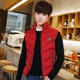 Down cotton vest men's autumn and winter jackets Korean version of the trend plus velvet thick warm waistcoat vest vest outer wear Down cotton vest men's autumn and winter jackets Korean version of the trend plus velvet thick warm waistcoat vest vest outer wear