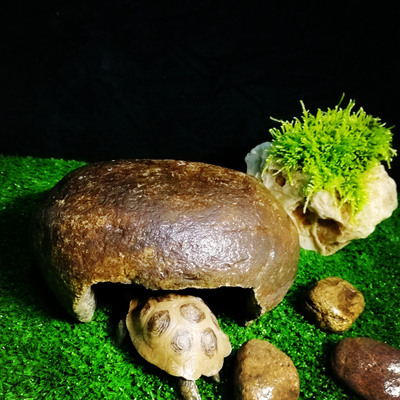 天然石头乌龟晒台爬台爬宠洞穴晒背台鱼虾躲避装饰造景