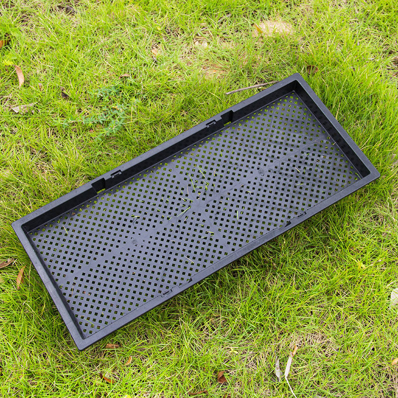 芽苗菜盘种植育苗盘发豆芽小麦草芽苗育苗托盘多肉播种培养盒