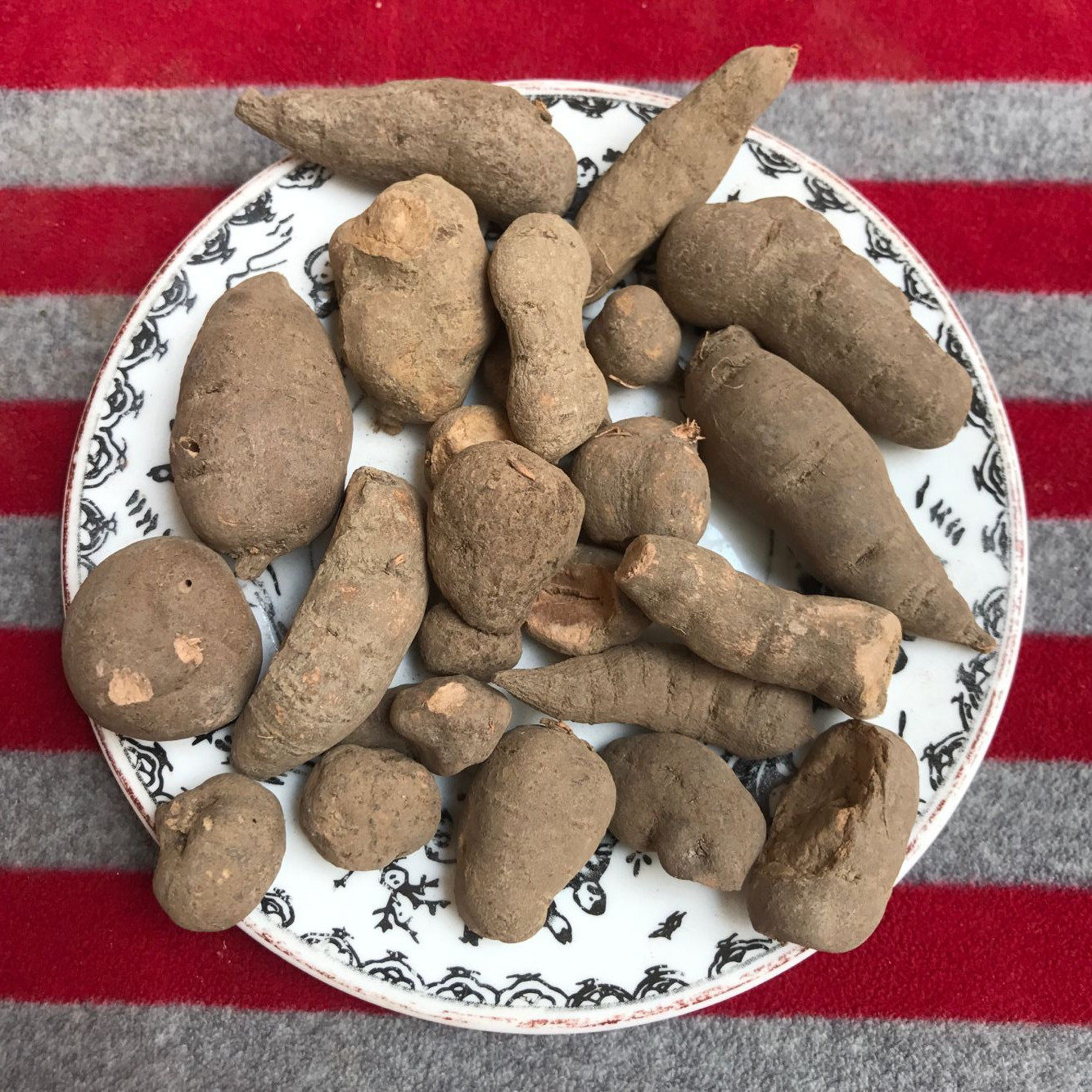 三叶叶青中药材浙江金线葫芦精选野生石老鼠老鼠其他药食同源食品