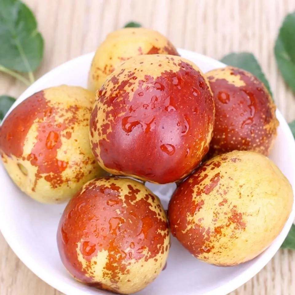 山东沾化冬枣新鲜孕妇应当当季水果脆枣大枣枣