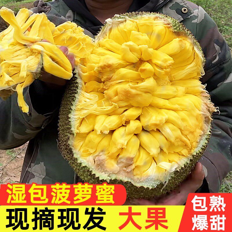 湿包菠萝蜜整个新鲜水果包邮黄肉湿苞树菠萝波罗蜜菠萝蜜