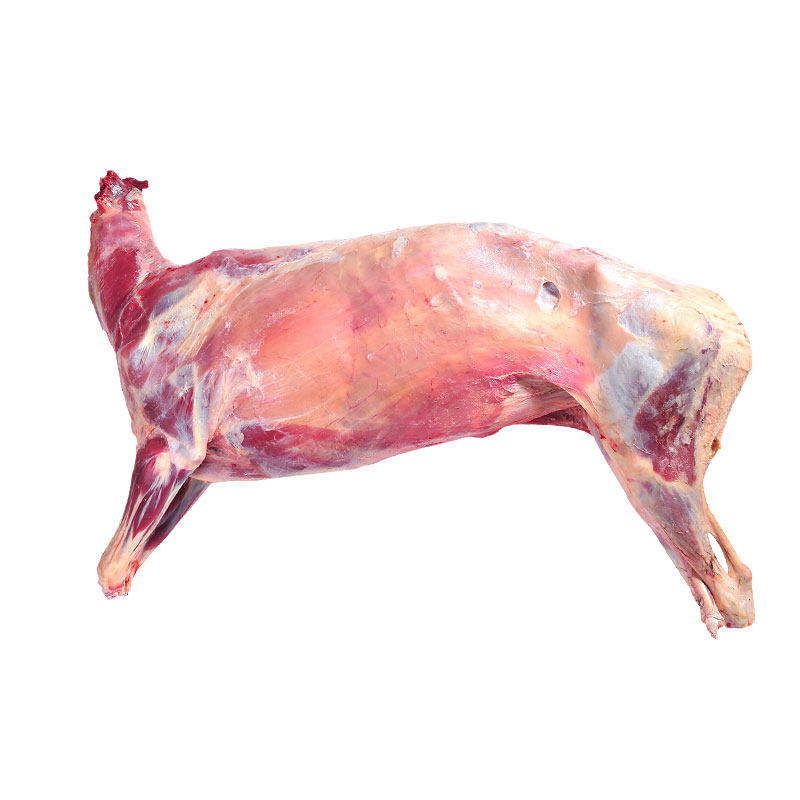 全羊24斤草原原生羊肉新鲜内蒙古白条羊整批发生羊肉