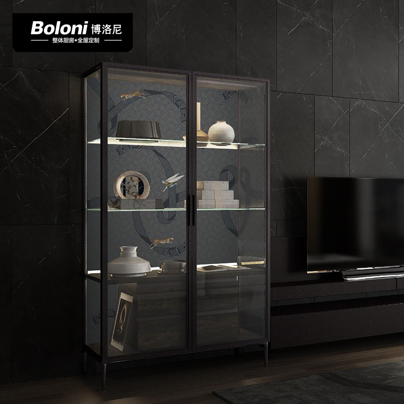 博洛尼现代轻奢铝框玻璃衣柜展示柜客厅卧室书房客厅空间定制