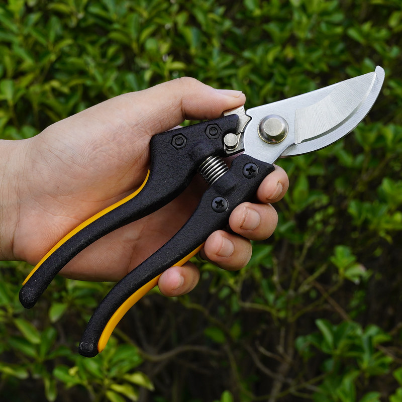 剪刀佳盛sk5修枝园林果树粗枝花剪省力树枝剪刀