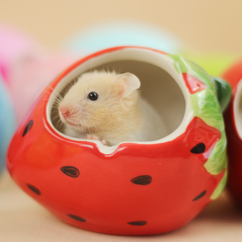 仓鼠鼠窝降温陶瓷水果瓷窝小房小屋家具睡窝窝