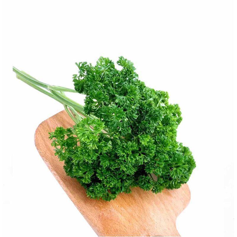 荷兰新鲜香芹兰欧西洋芹番500g西餐厅蛋糕摆盘其它