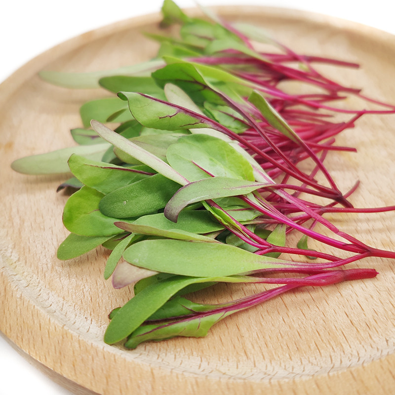 新鲜牛皮20g花瓣食用芽苗菜皮草花草甜菜点缀其它