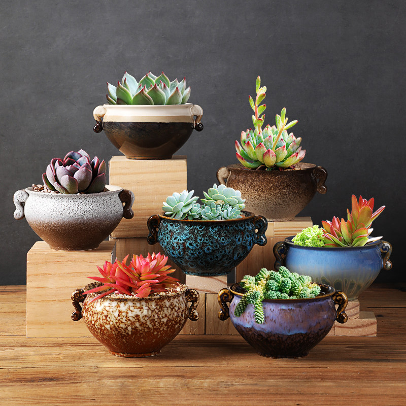大号多肉花盆大口径特价清仓简约个性创意肉肉花盆
