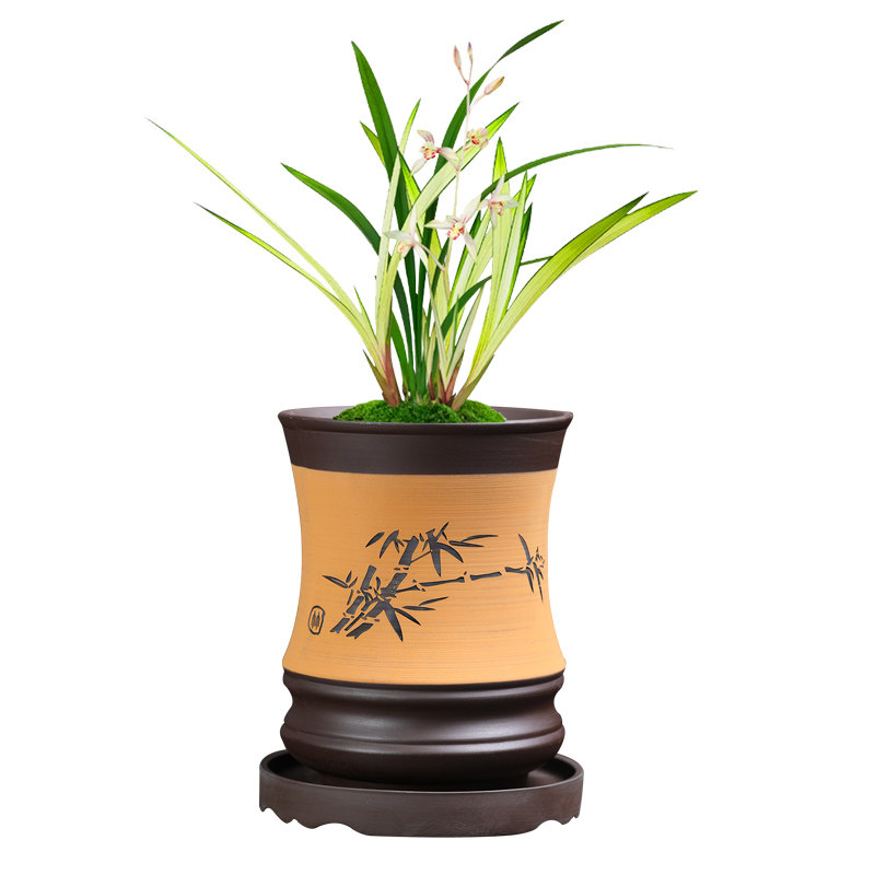 兰花精品紫砂花盆君子兰托盘兰草盆景陶瓷盆栽花盆