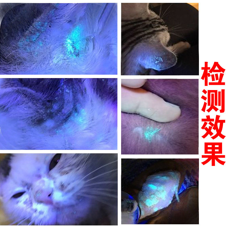 宠物医院伍德氏灯紫外线手电筒动物皮肤犬真菌检测工具猫癣藓狗癣